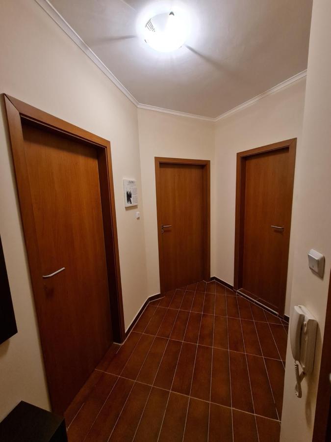 Bansko Vibes Apartments - Flora Boutique Ngoại thất bức ảnh